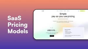 Pricing Micro-Saas Business Blueprint  Services Guide